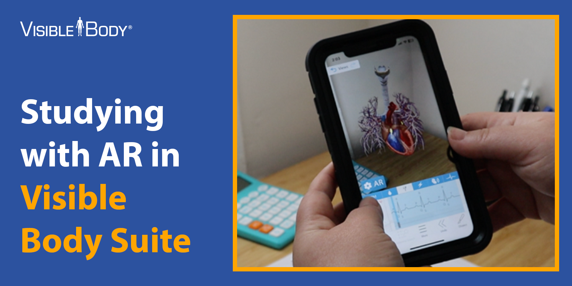 3 Ways to Study A&P with Augmented Reality in Visible Body Suite